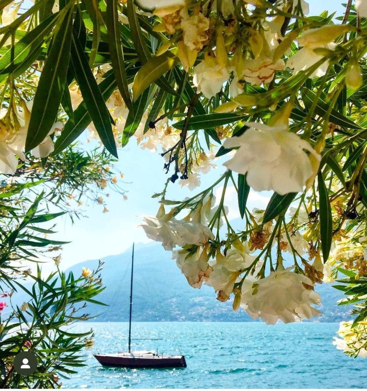 Casa Didi & Rosi - Lake Como Colico Eksteriør billede
